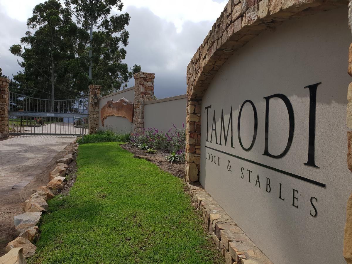 Tamodi Lodge Plettenberg Bay Exteriör bild