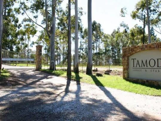Tamodi Lodge Plettenberg Bay Exteriör bild
